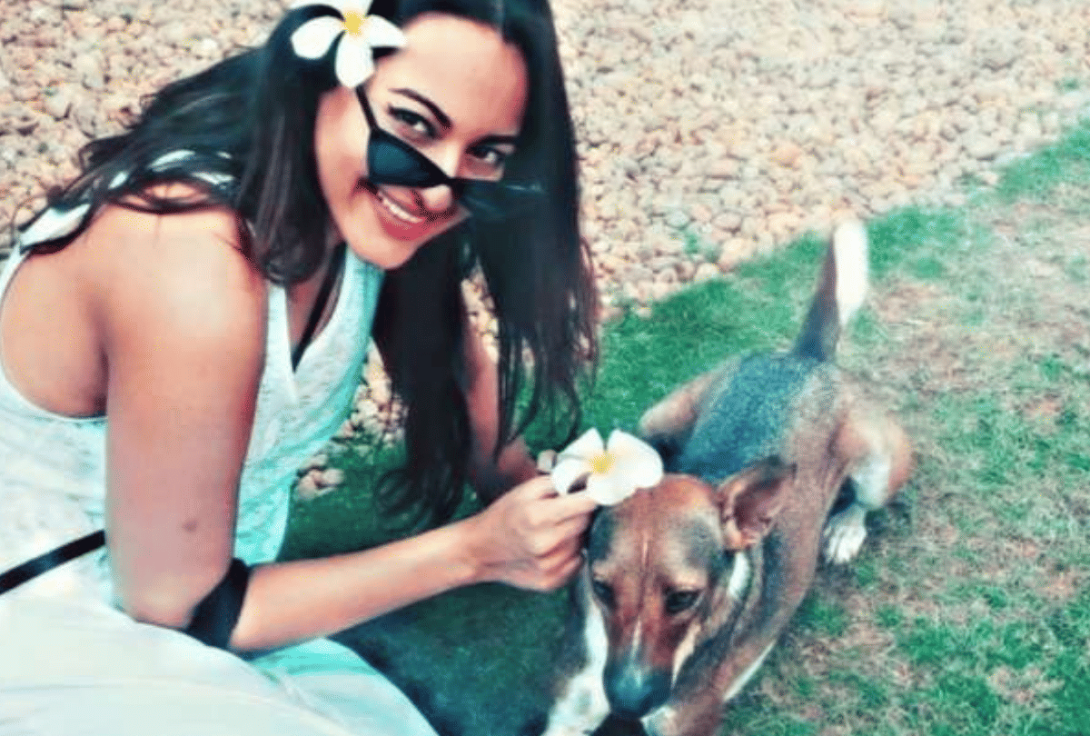 Sonakshi Sinha trolls after post a selfie on instagram