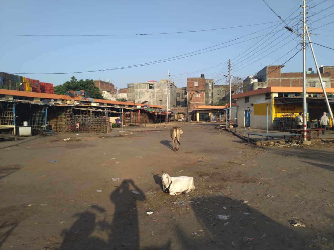 Lockdown in Gorakhpur, UP (Uttar Pradesh) Of Coronavirus News in Hindi: Gorakhpur Lockdown update See Latest Photos