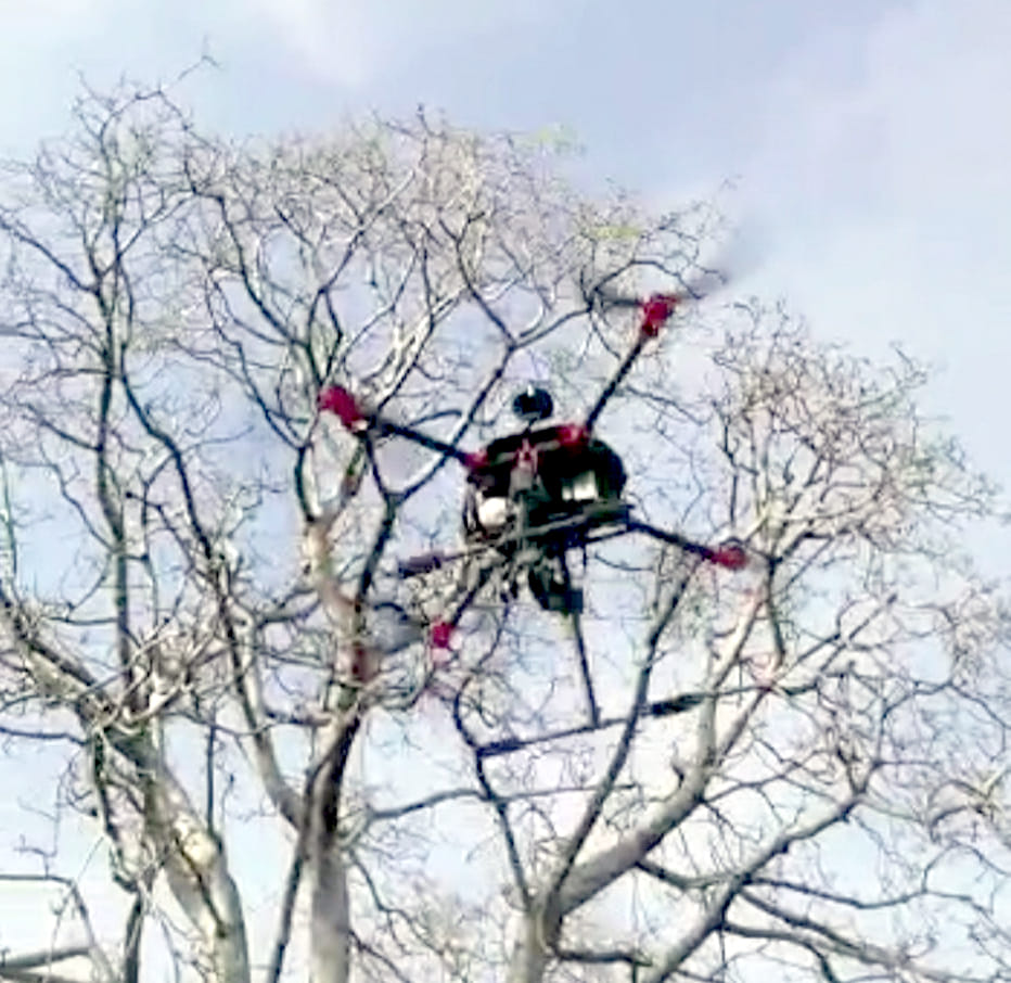 Drone patrolling to stop infiltration in forests