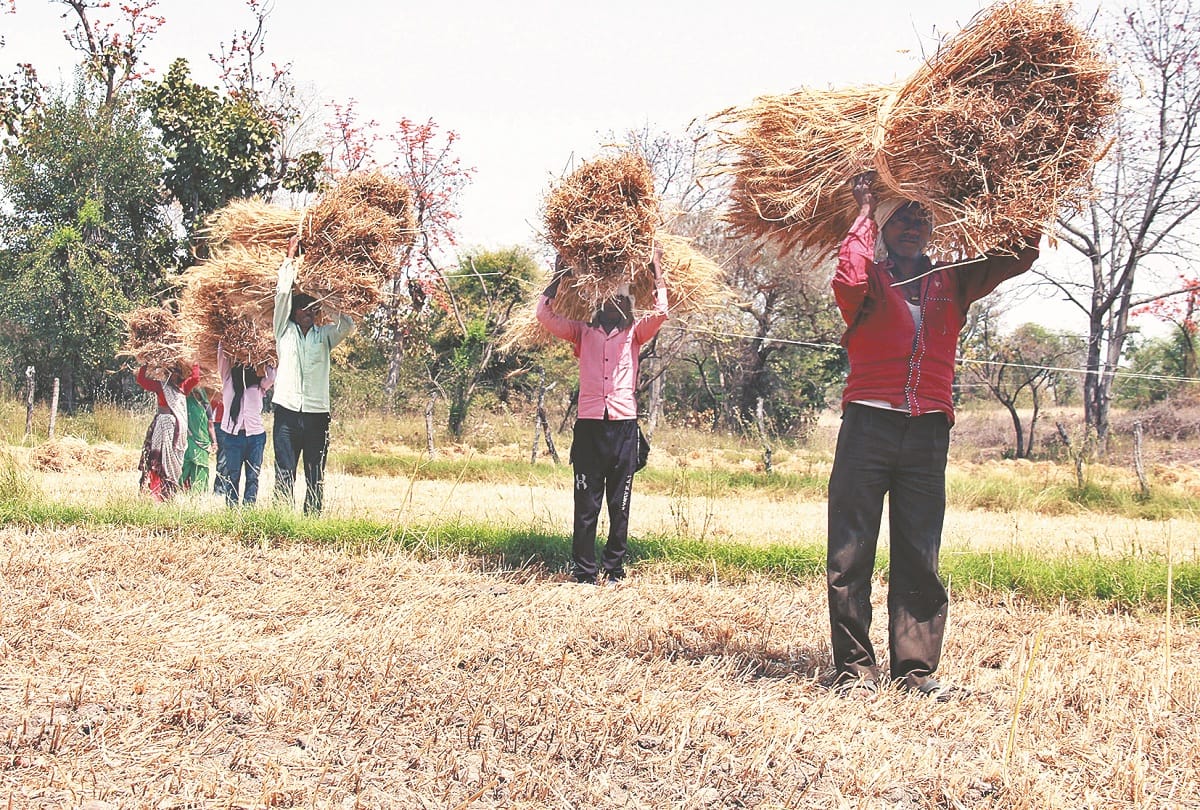 coronavirus latest news Laborers in crisis in bundelkhand l lending is also closed