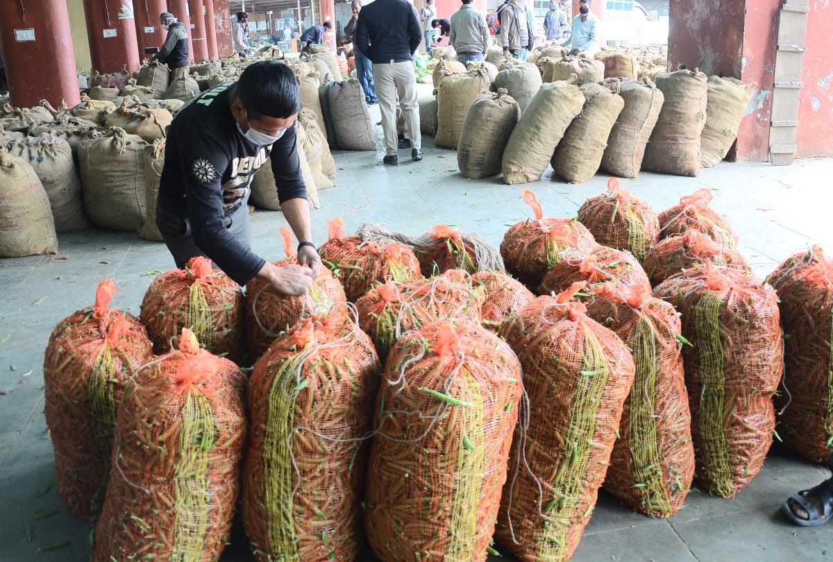 curfew pass not needed for fruit and vegetable supply vehicles in himachal pradesh