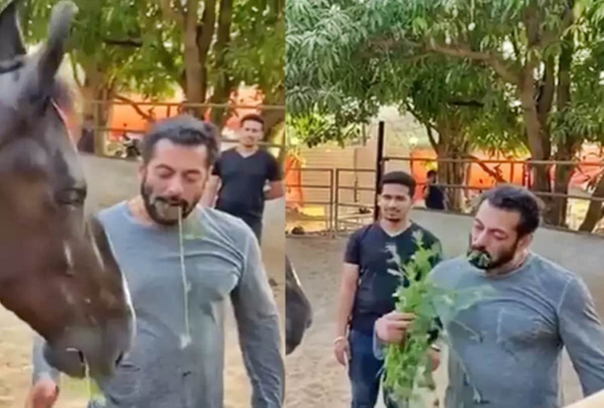 Salman Khan Farmhouse in Panvel: enjoying breakfast with his love horse