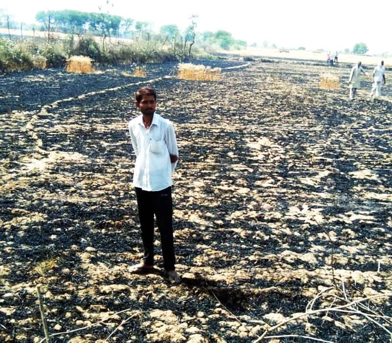 9 bigha wheat crop ashes from two farmers' fire