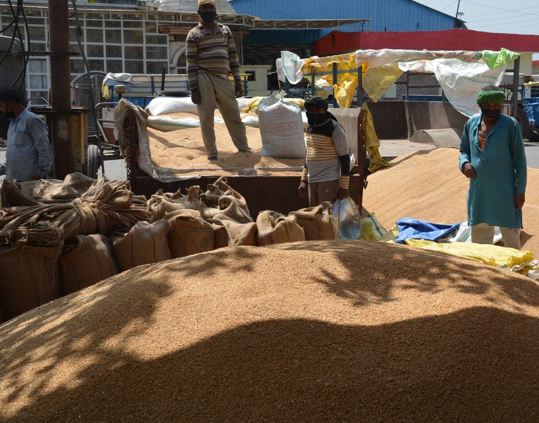Wheat arrivals started in the market