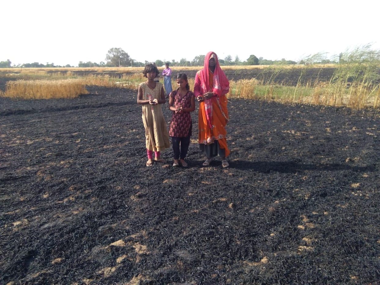 Fire itself: 23 bigha crop burnt to ashes