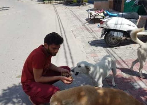 Some people are becoming the support of hungry animals and birds