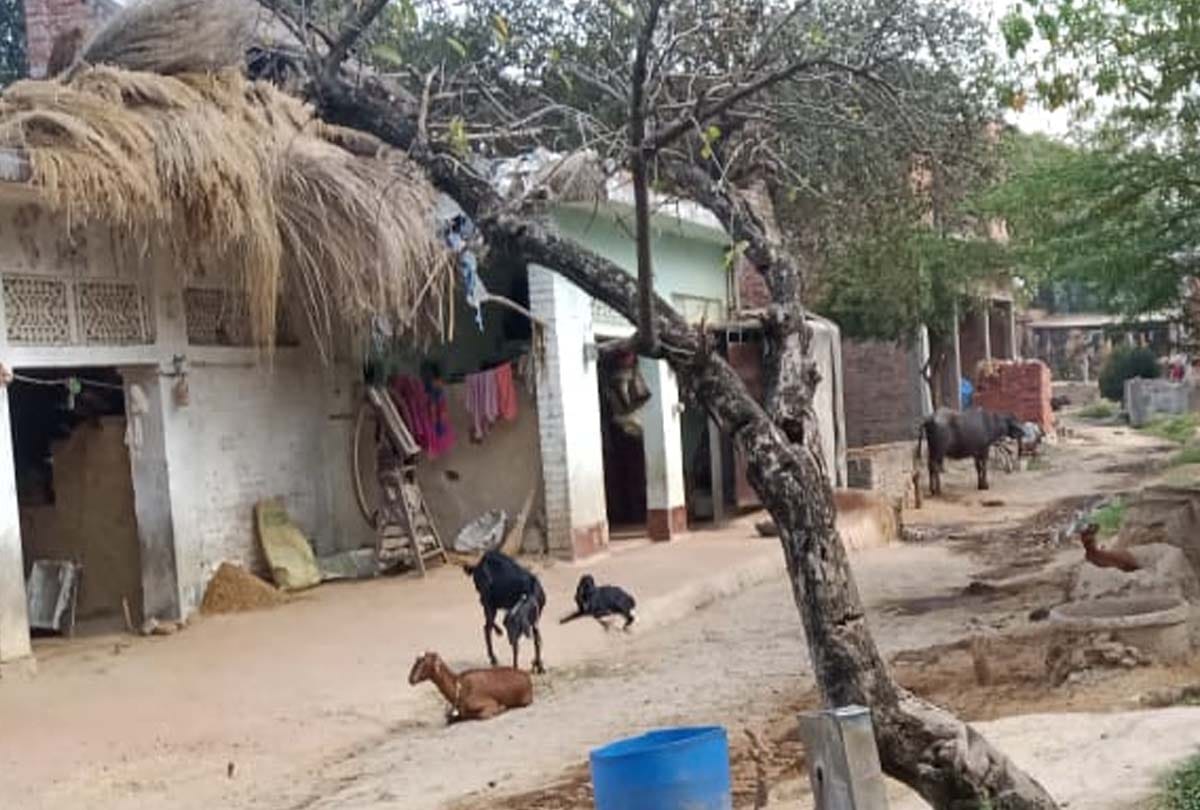 coronavirus news in kannauj, corona positive, Send samples of 22 family members