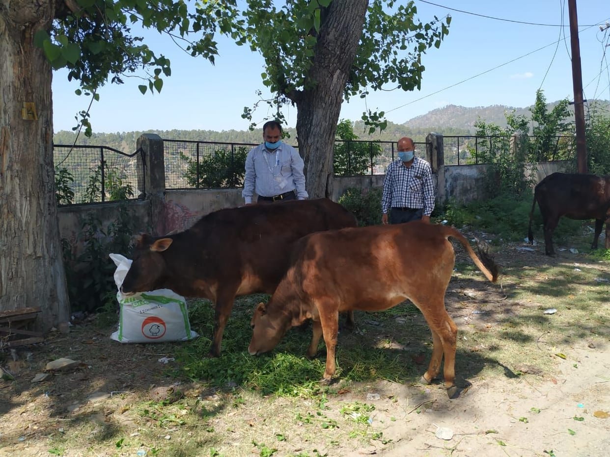 Providing food for unclaimed animals