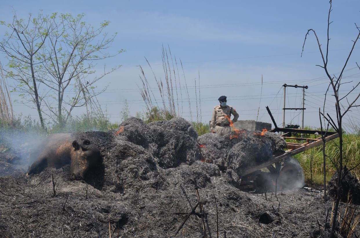 Buggy burned after hitting the power line