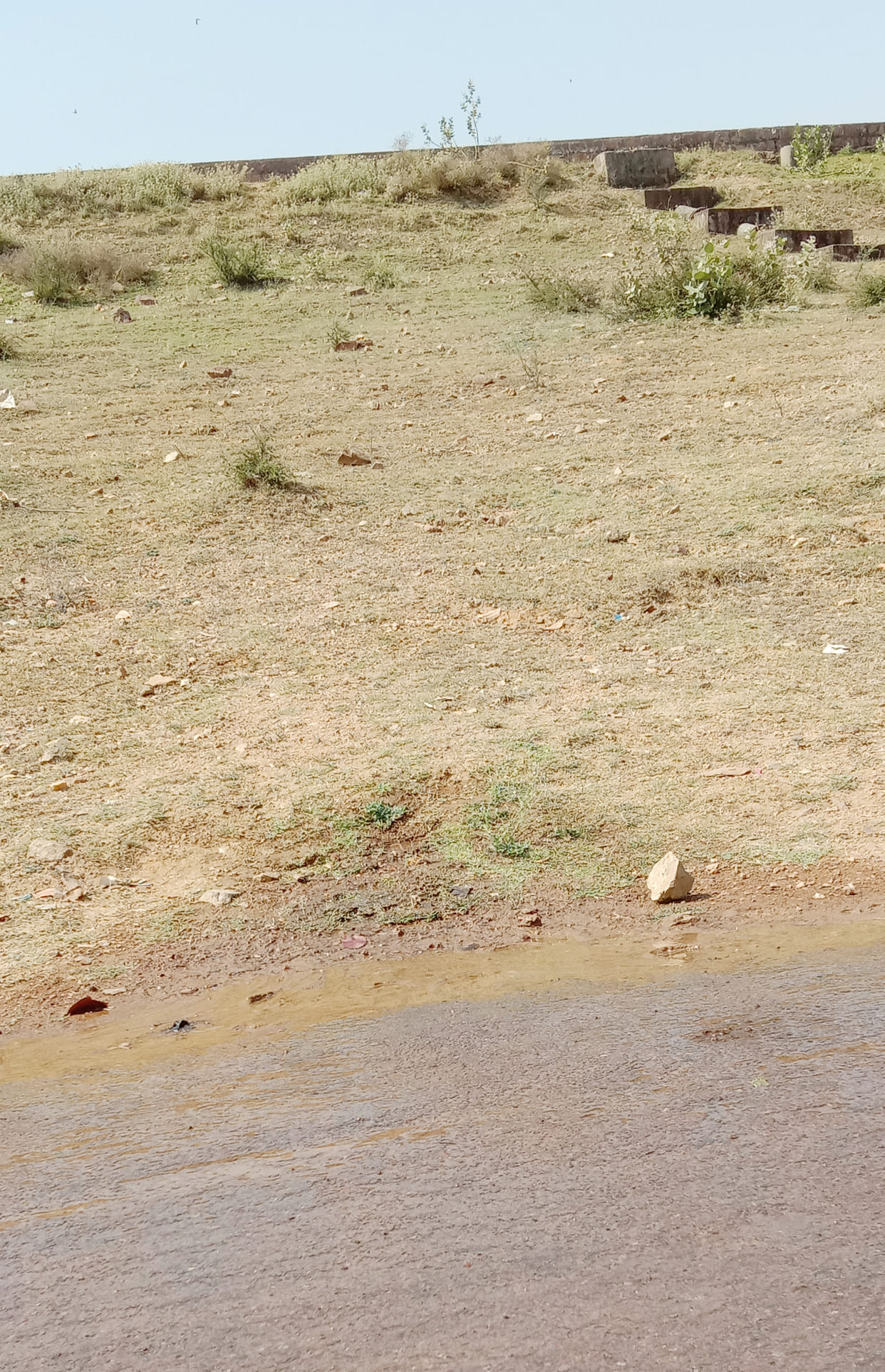 water wasting near govind sager dam