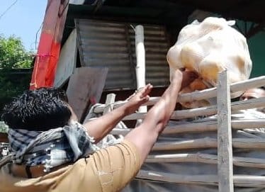 Hey Bhaijaan, give some milk to animals too