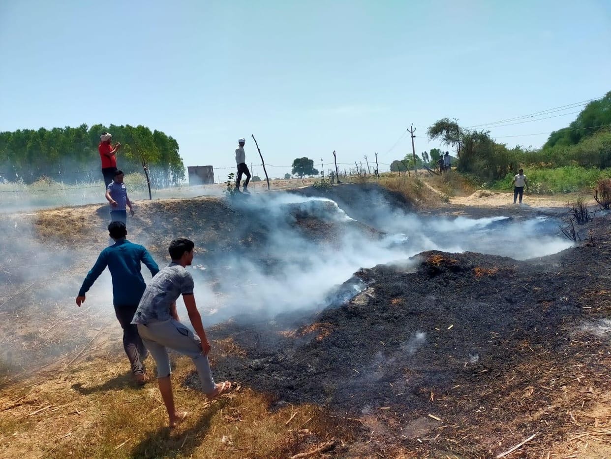 Ten bigha crop burnt with HT line spark