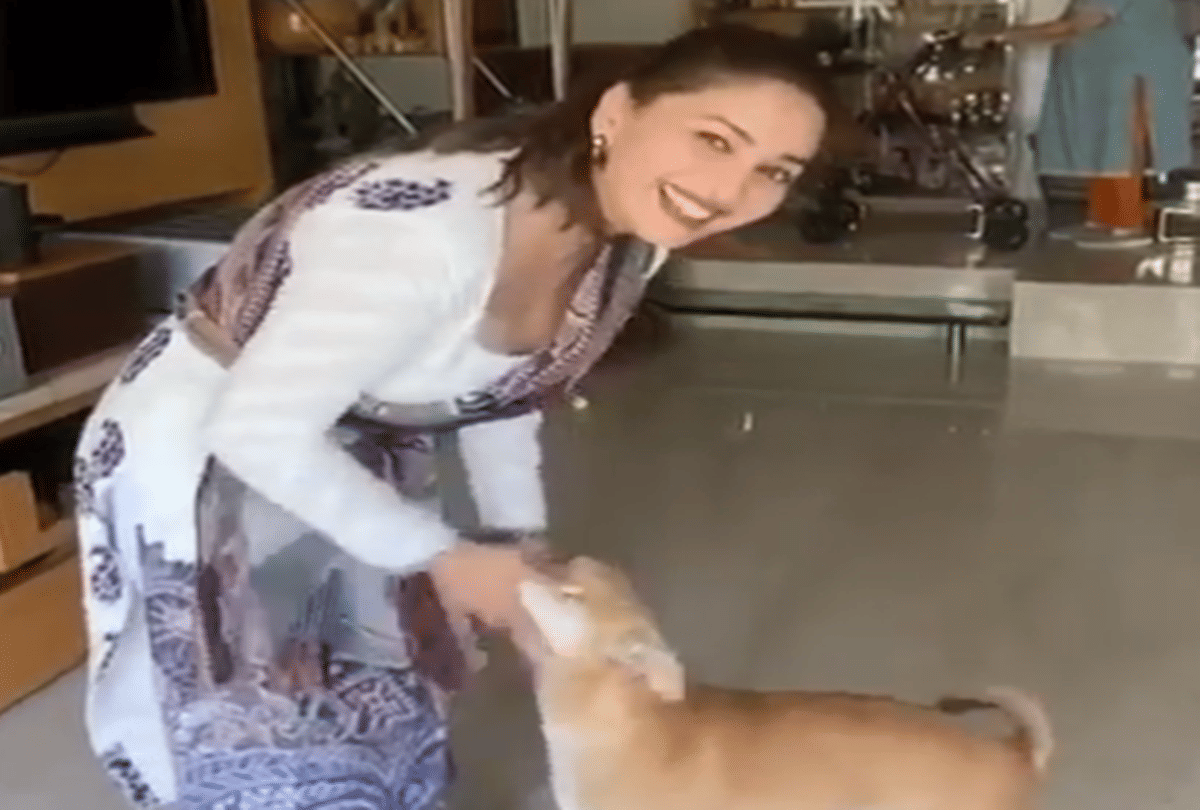 fan asked how many times have seen hum aapke hain kou madhuri dixit gives reply