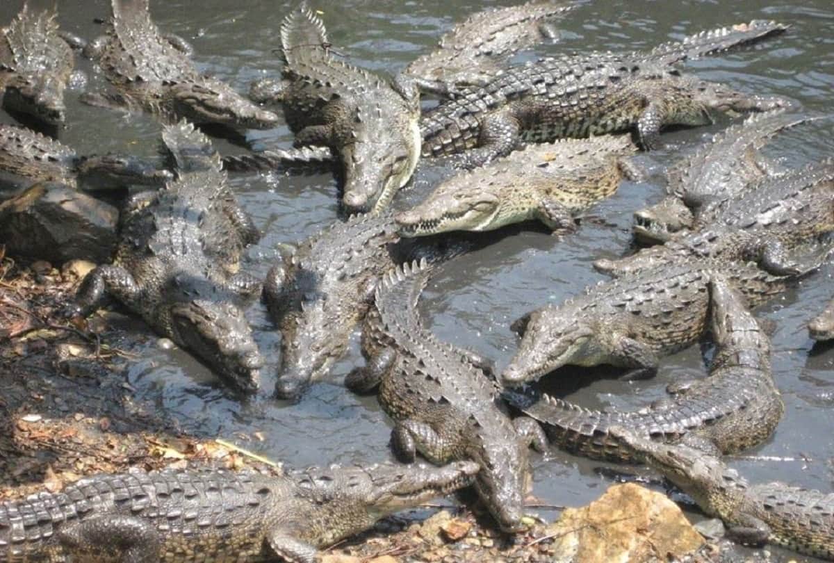 most dangerous islands in the world which look beautiful but it deadly