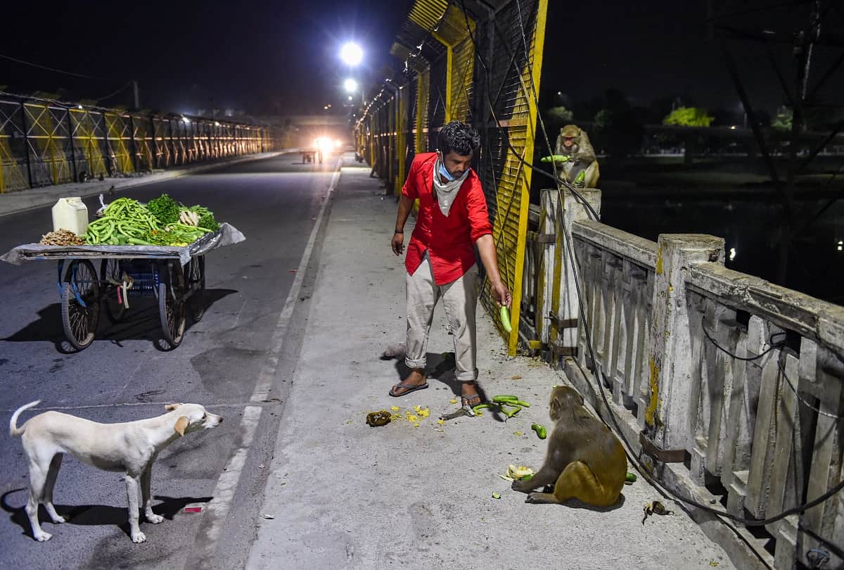 Three photos winning heart and showing humanity in coronavirus lockdown