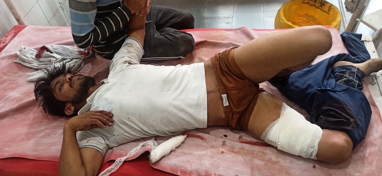 forest pig attack on man, ten injured