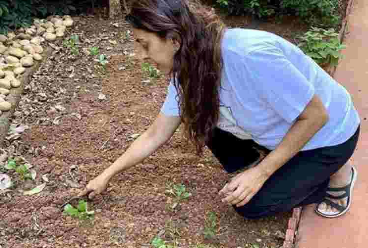 juhi chawla planted vegetables in her farm house during lockdown