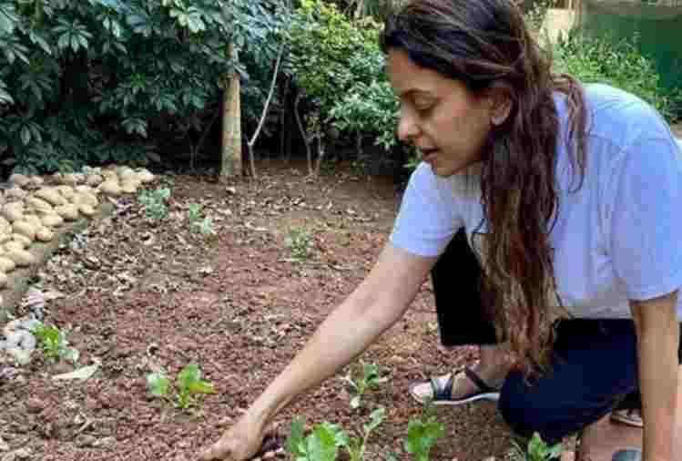 juhi chawla planted vegetables in her farm house during lockdown
