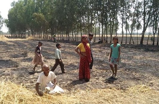 wheat crop caught fire