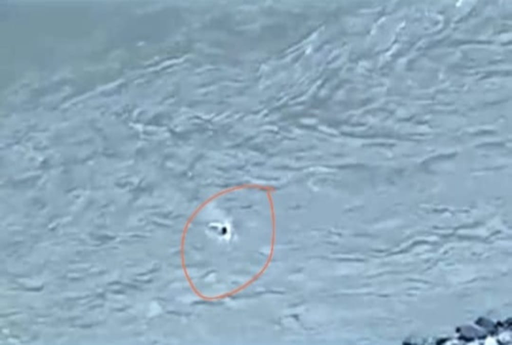 India Nepal Border Latest news: Nepali People enter in india by cross kali river illegally