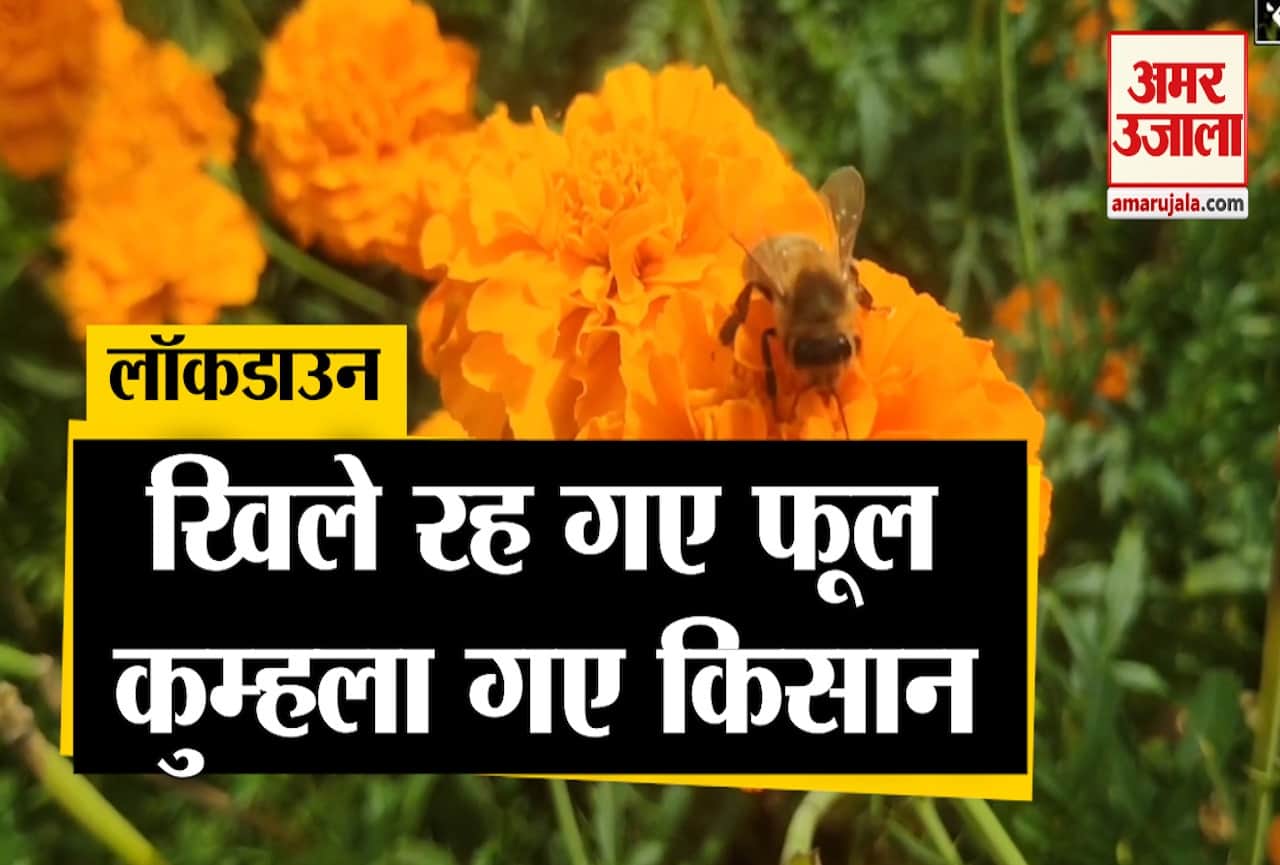 लॉकडाउन