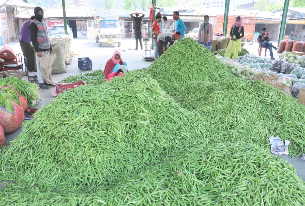 Great relief for farmers and gardeners, crop will reach mandis without curfew