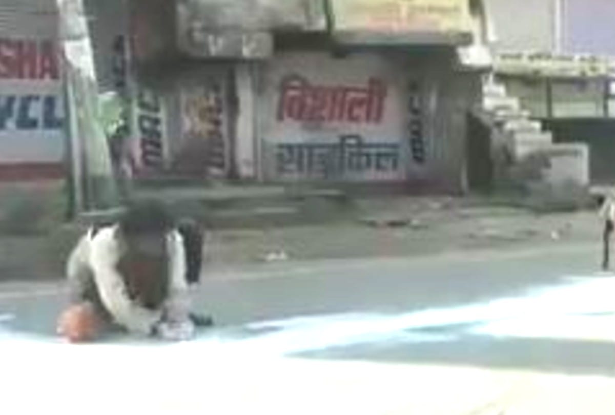 lockdown update: man and dogs sharing milk spread on the road in agra