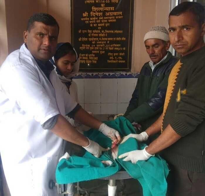 Animal Husbandry doctors will not treat Corona
