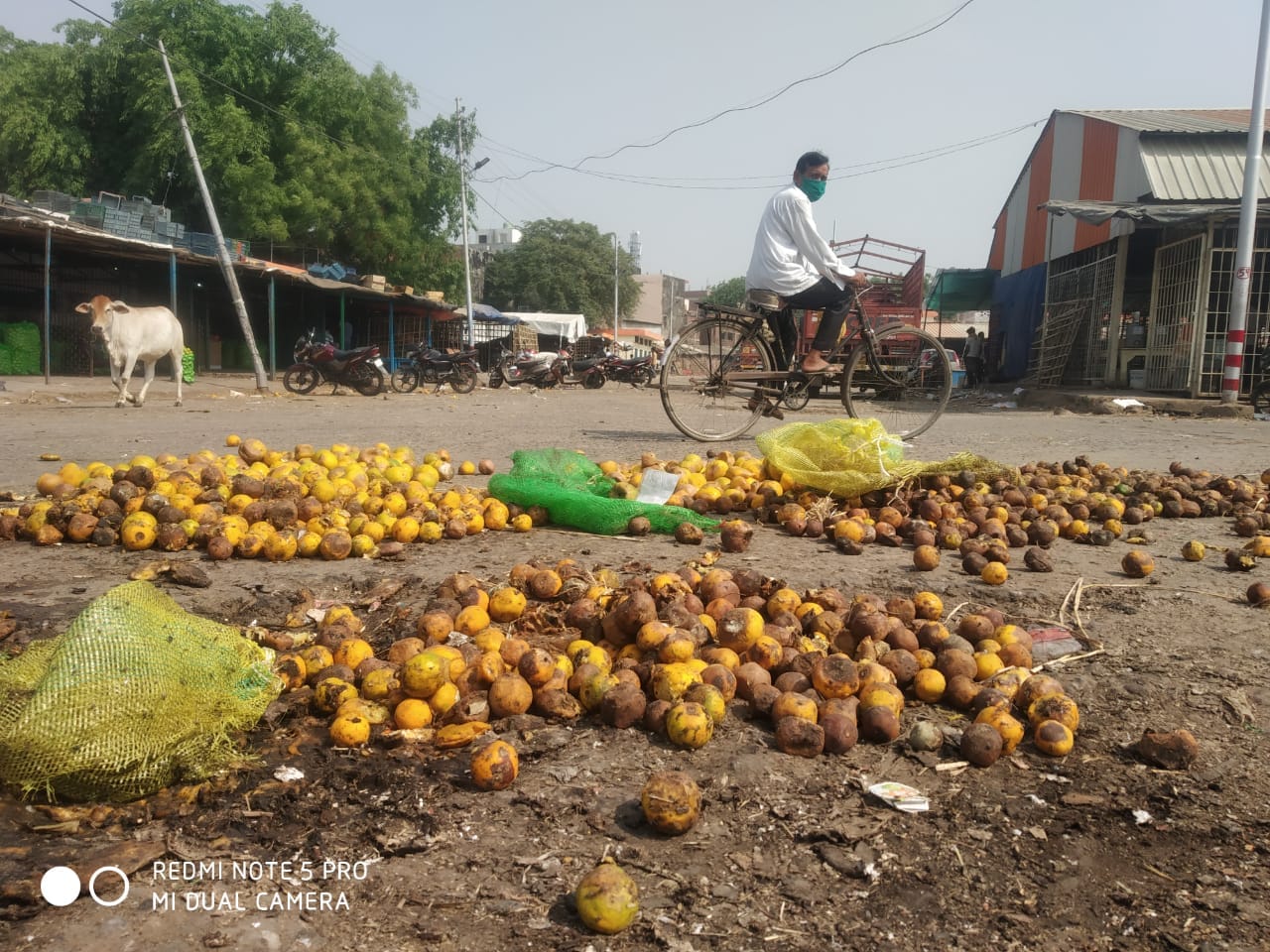 gorakhpur lockdown update see latest photos in gorakhpur curfew, 14 april latest update news