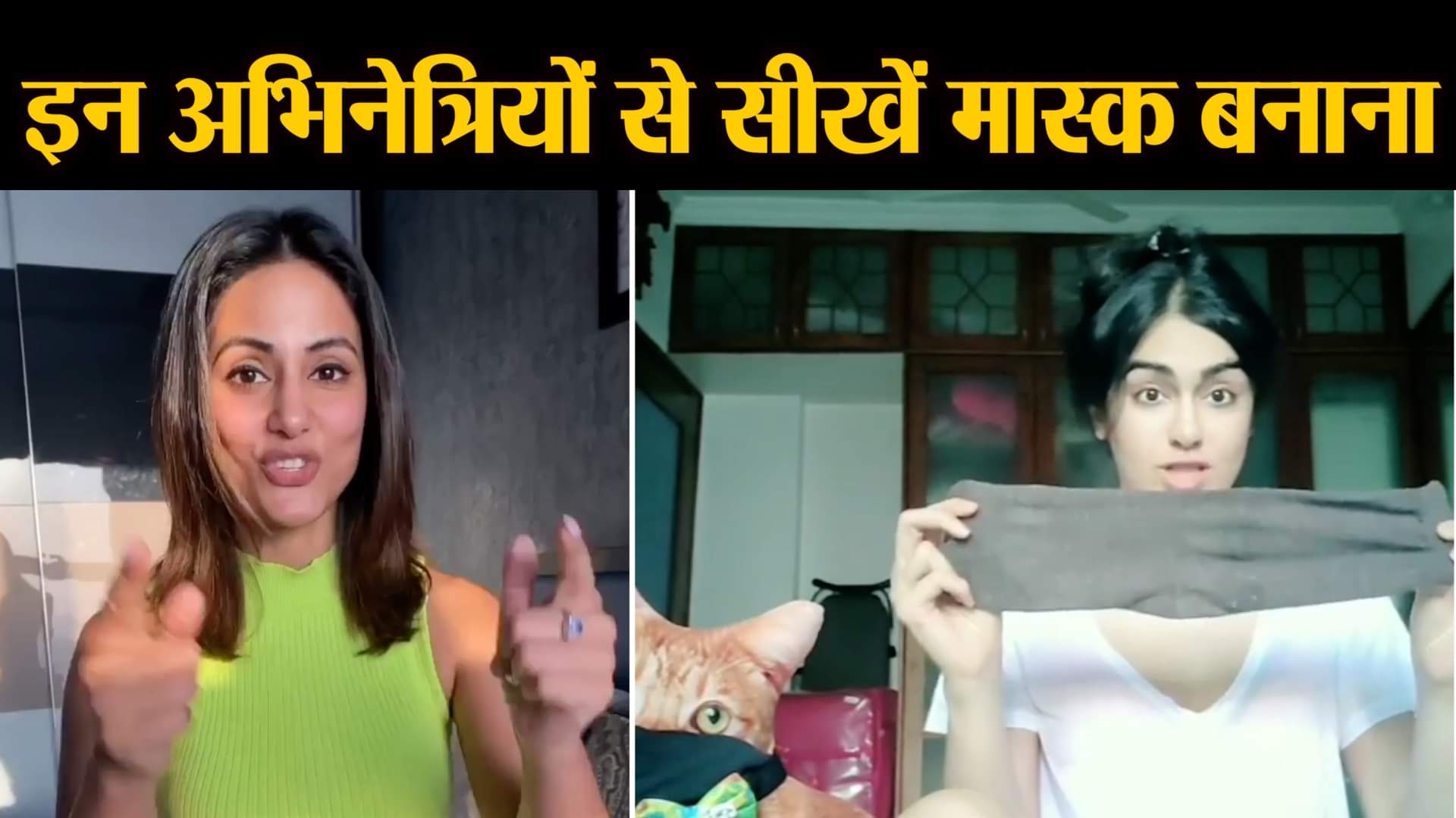 वीडियो से ली गई तस्वीर