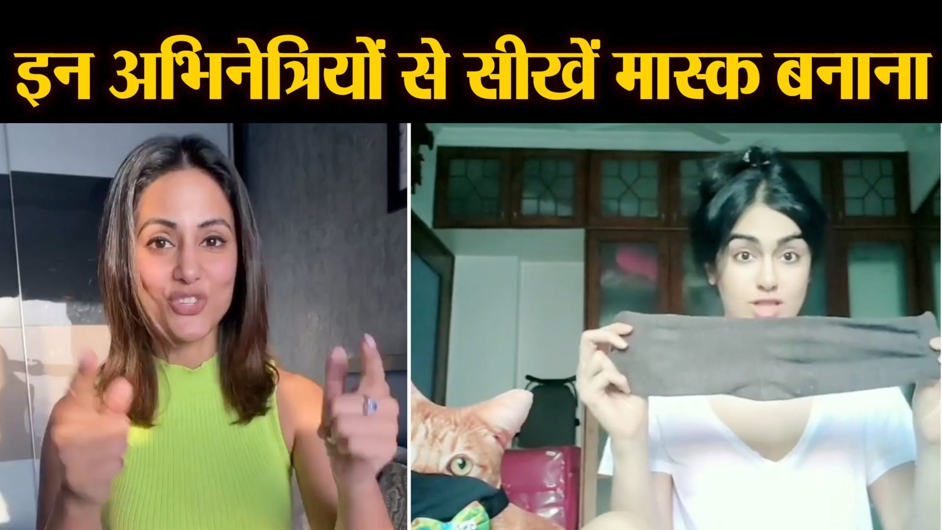 वीडियो से ली गई तस्वीर