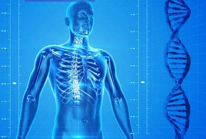 daily habits that can help boost your immunity power know immune system ko kaise strong banaye