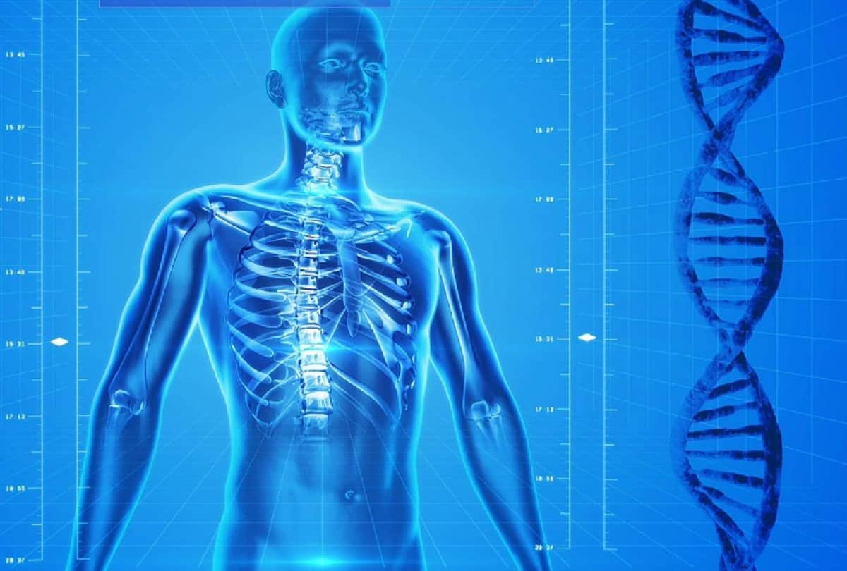 how long covid antibodies last, know what recent icmr study says