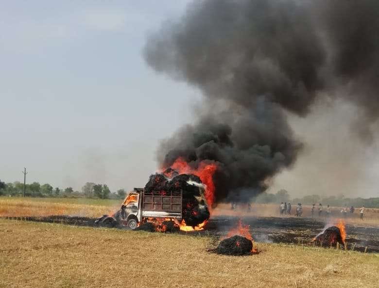 Wheat burden and pickup burn due to exposure to HT wire