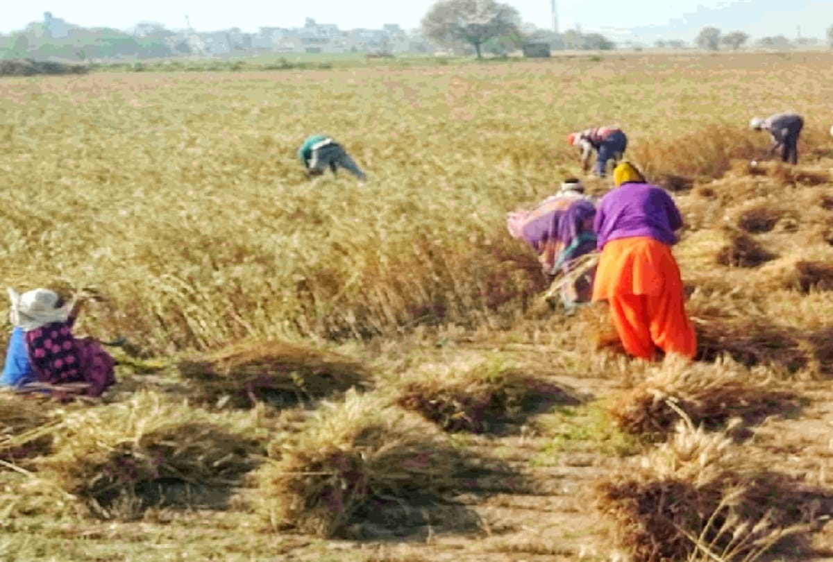 Farmers are not getting right price for crops in the market