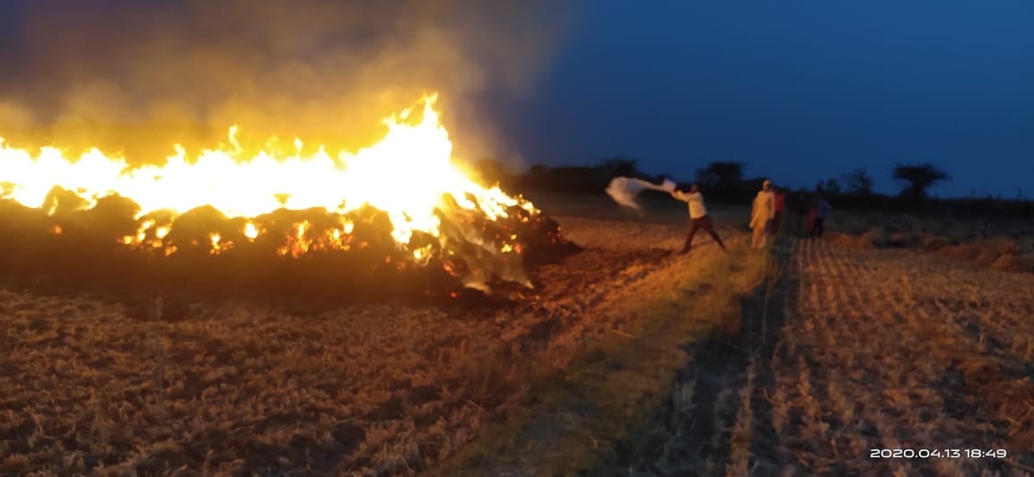 Wheat crop kept in field burnt to ashes