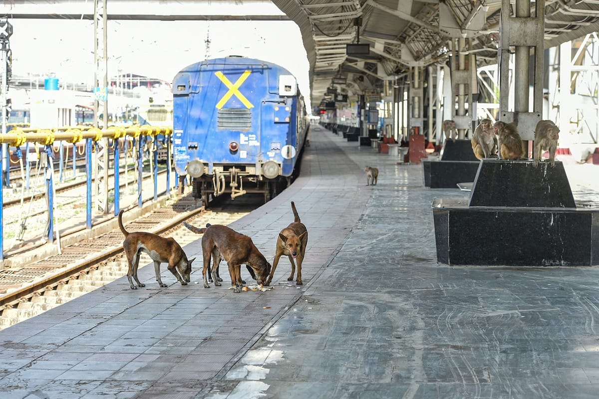Indian Railways News Update Today: Railways extends suspension of its passenger services till May 3