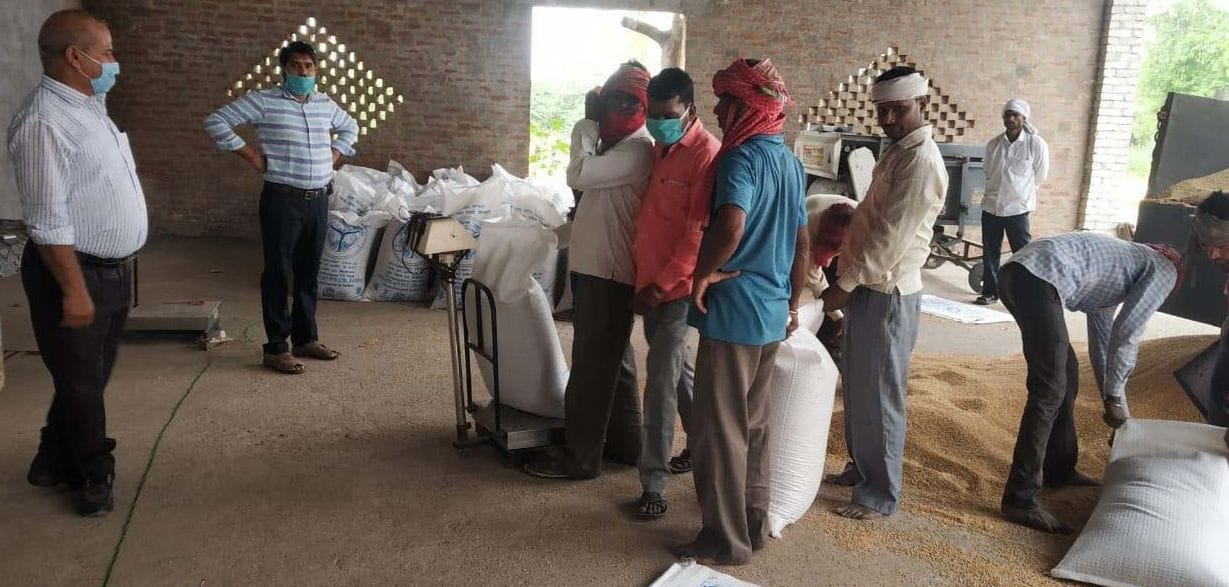 Wheat Kharid Shuru, first day 125 quintal wheat purchase