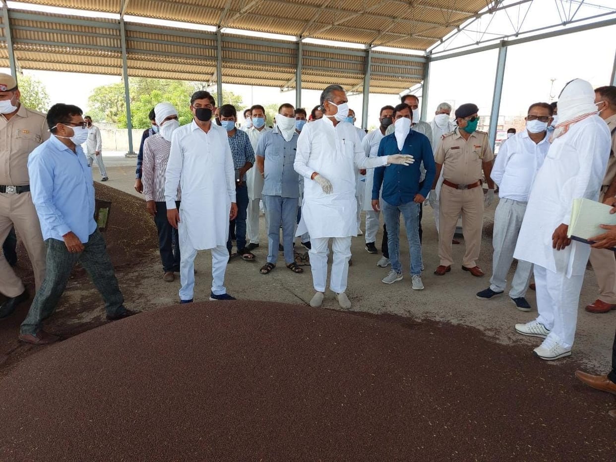 Purchase of 440 quintal mustard of 26 farmers