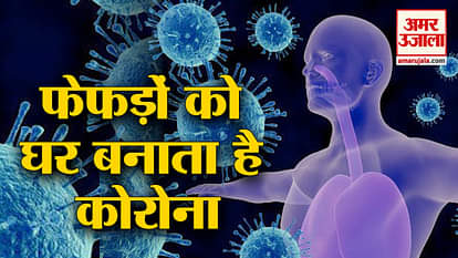 Coronavirus hit lungs badly