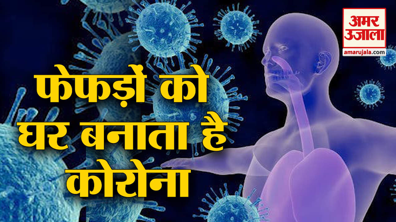 डिजाइन पिक्चर