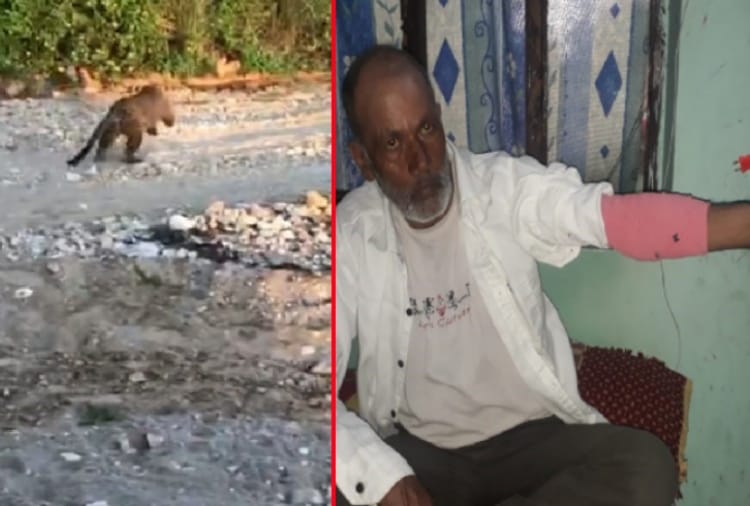 Leopard attack on farmer at Pratap nagar Of Haryana