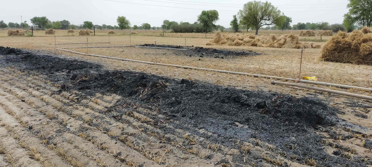 fire, wheat crop, farmer, narnaul