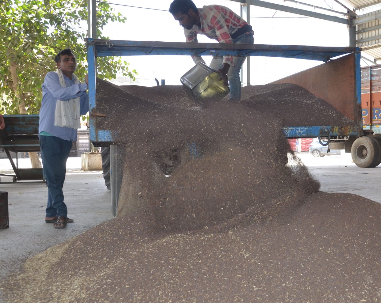 grain market bhiwani
