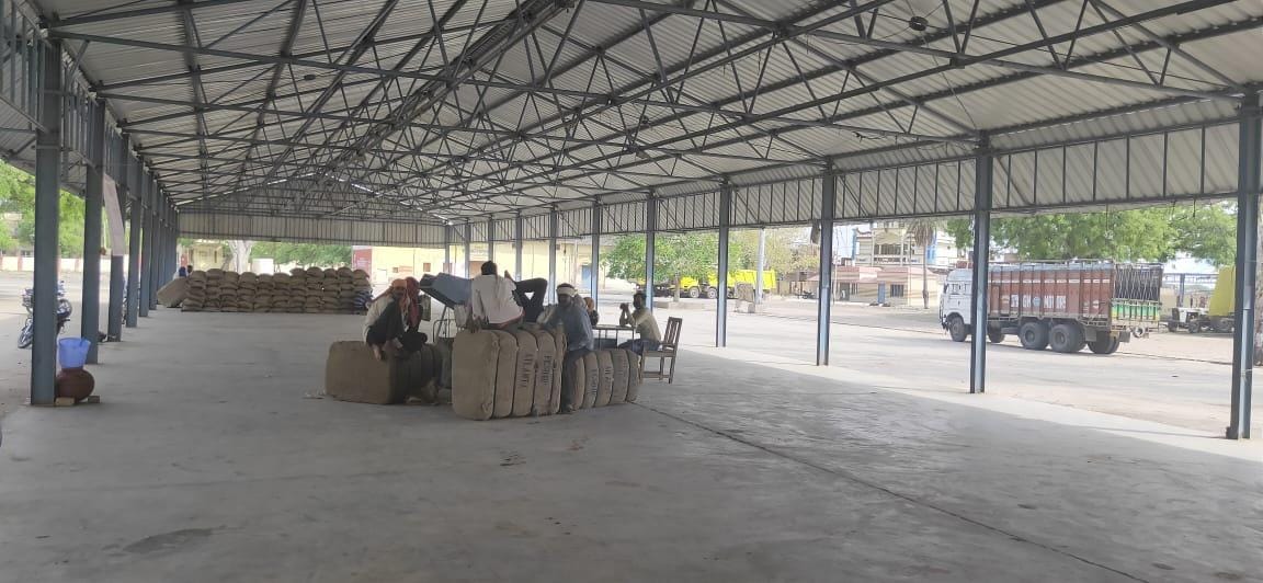 Silence at procurement centers, purchase 250 quintals of wheat on day one