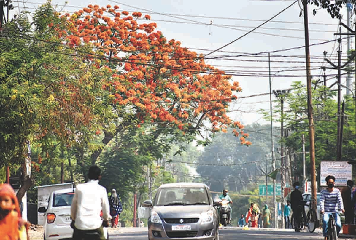 doctor's team quarantine in prayagraj