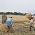 किसान