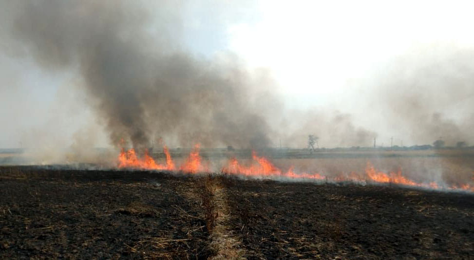 Hundreds of bigha crop ashes due to fire in Chitrakoot