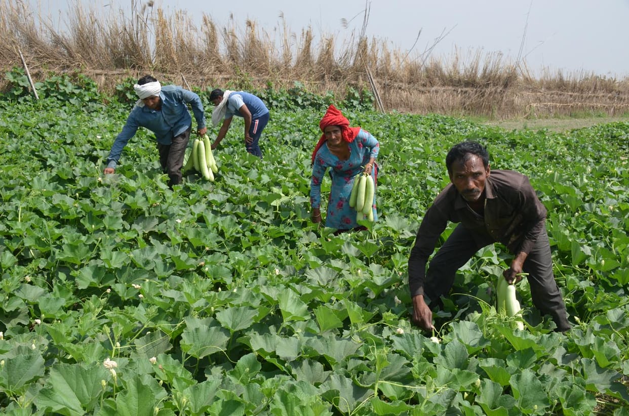 Farmers worry about being indebted