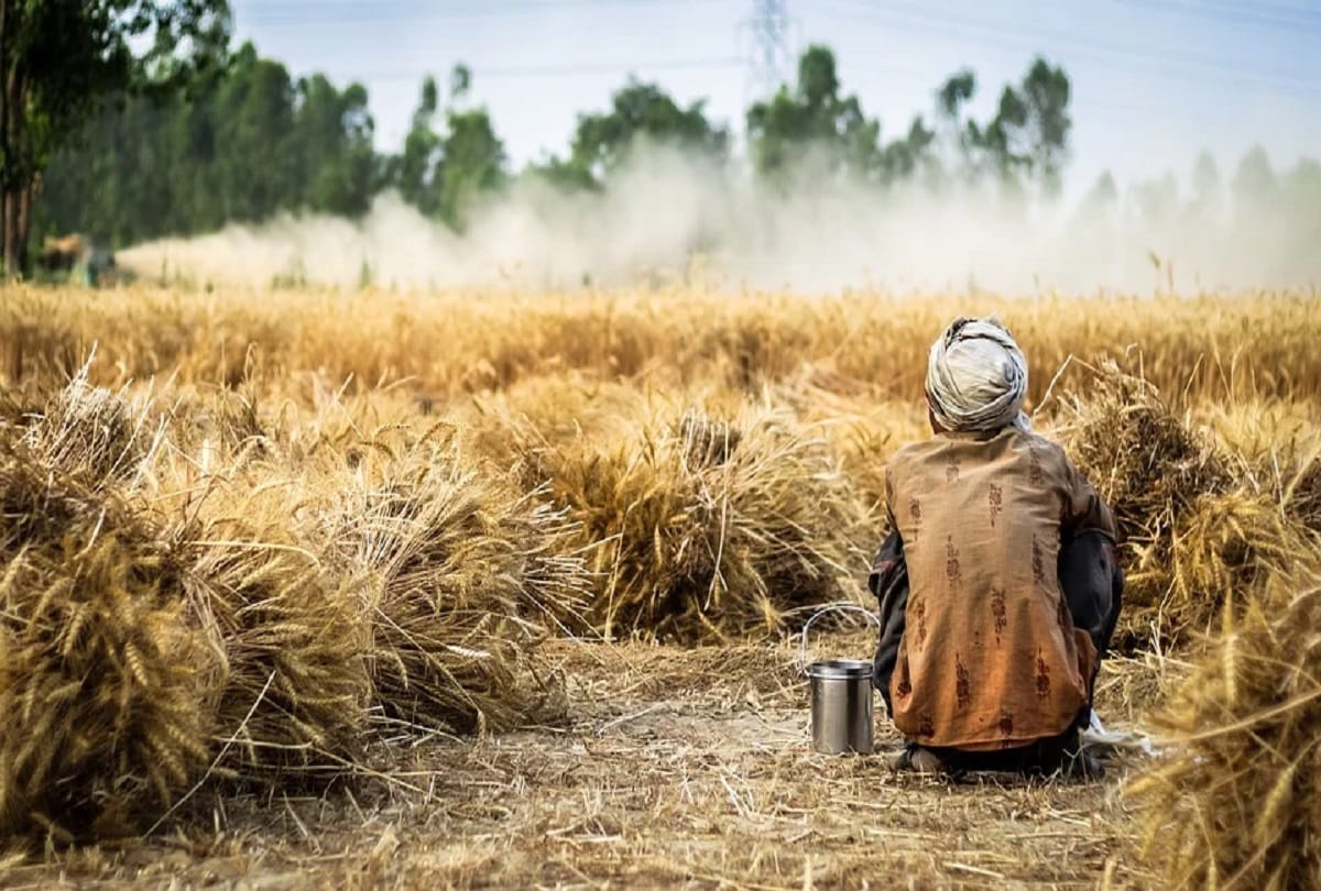 Climate change: diseases increase in paddy crop, flood and drought is spoiling mathematics